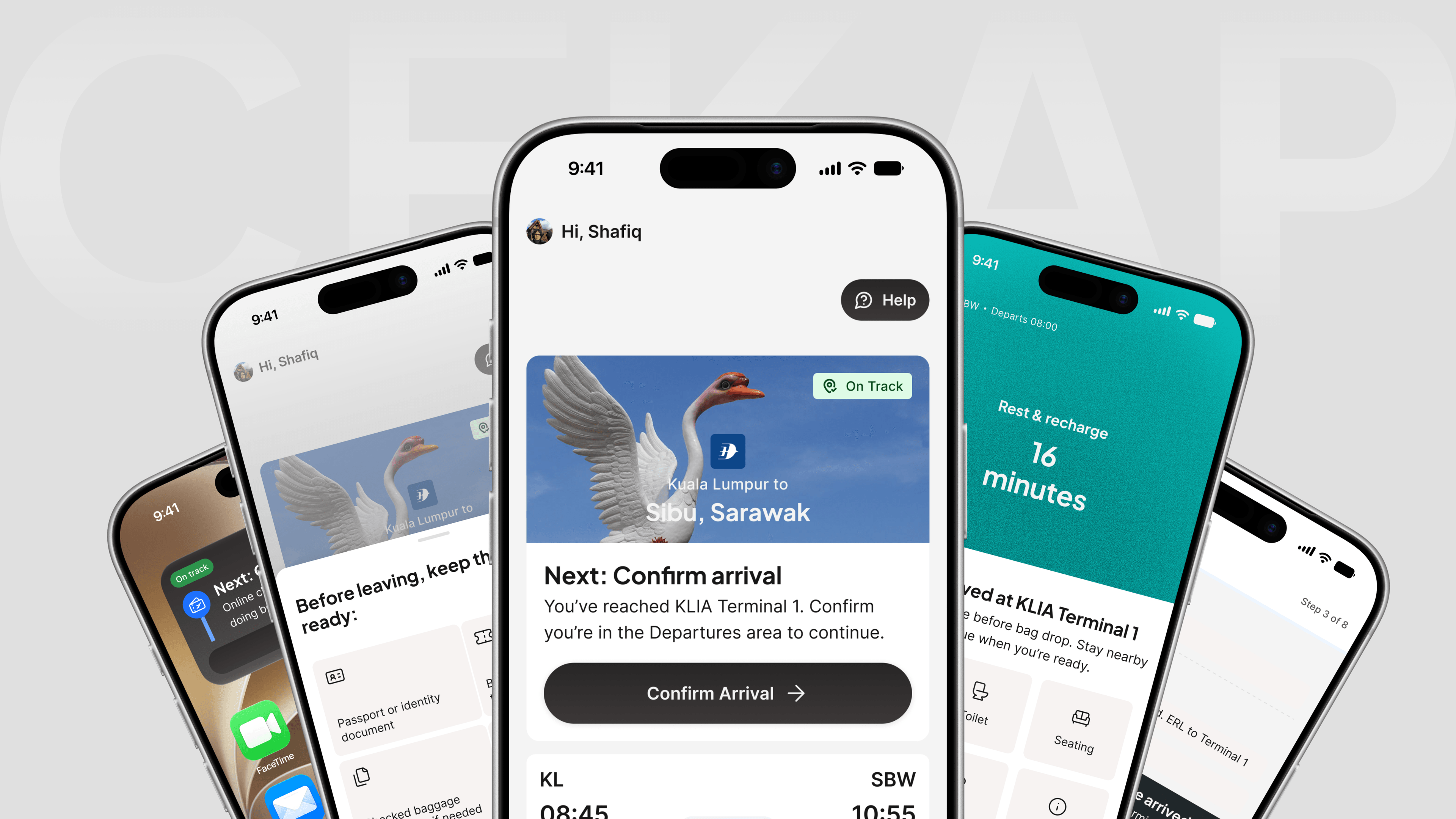CEKAP flight companion screens