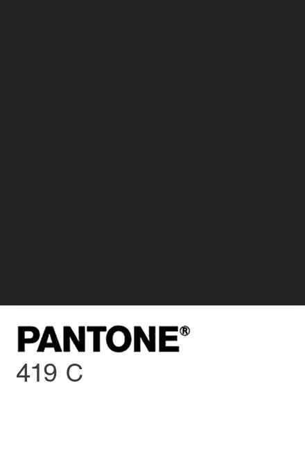 Pantone 419 C, near black